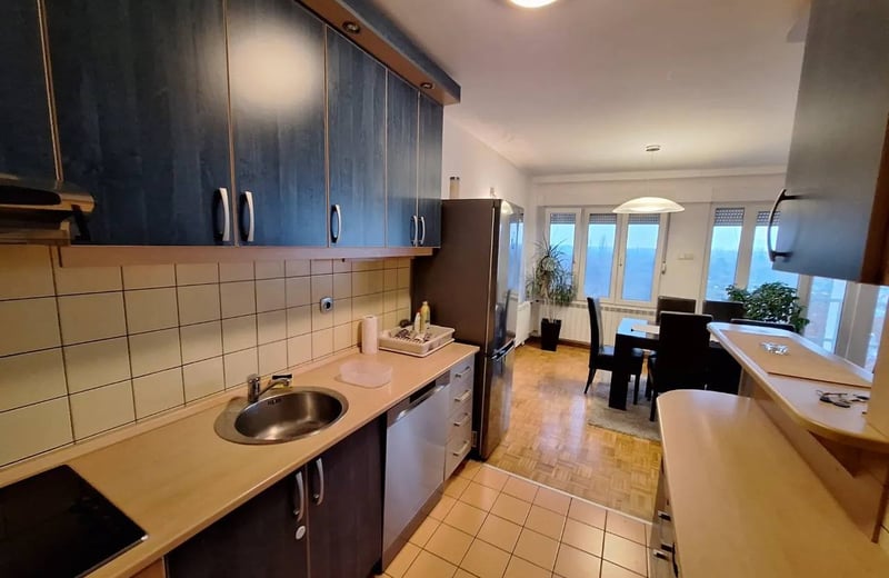 Аренда просторной 3-комнатной квартиры, 94 м², Новый Белград, Сербия